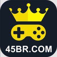45br Slots VIP v4.9.6